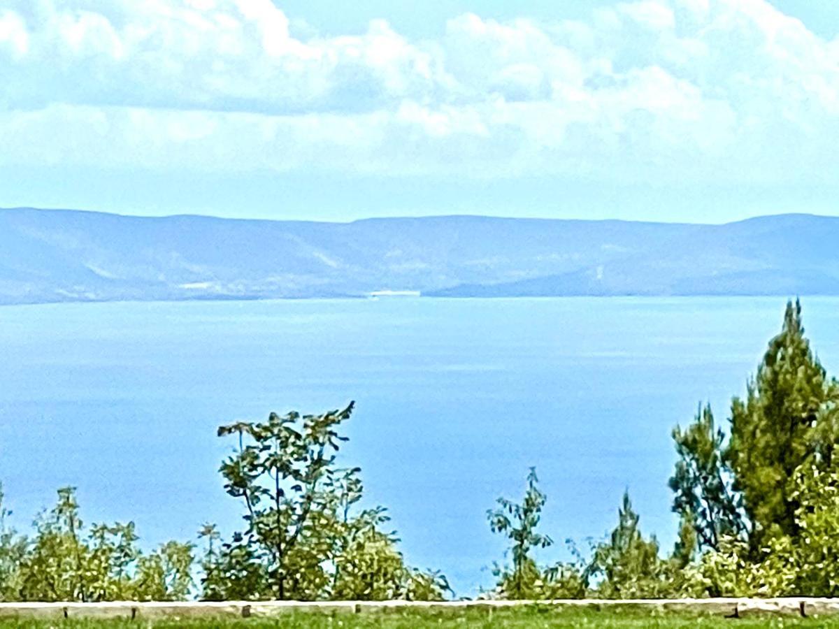 Luxury Panorama Vila With Amazing Seaview In Gondolici 7 Km From Rabac Labin  Εξωτερικό φωτογραφία