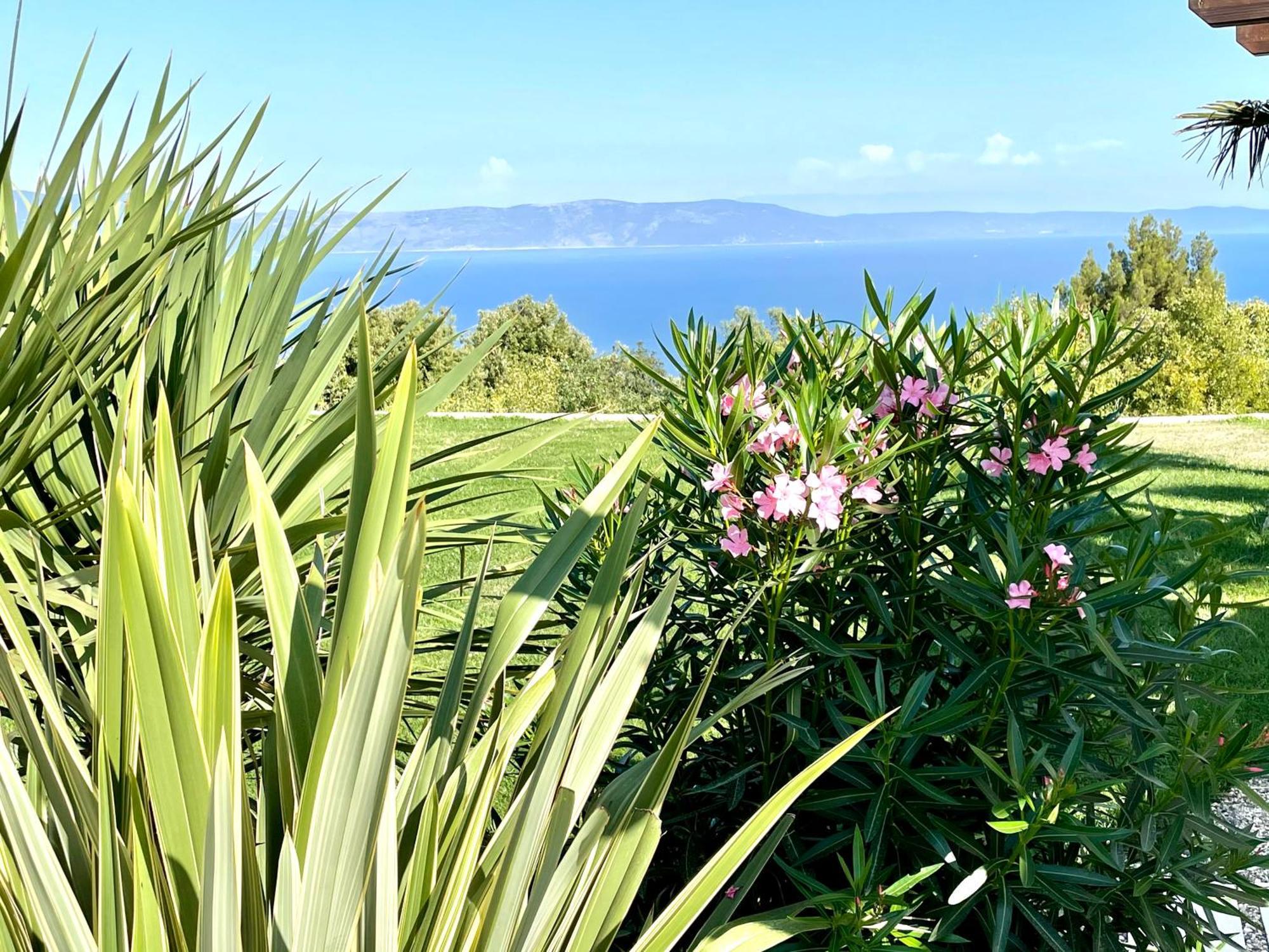 Luxury Panorama Vila With Amazing Seaview In Gondolici 7 Km From Rabac Labin  Εξωτερικό φωτογραφία